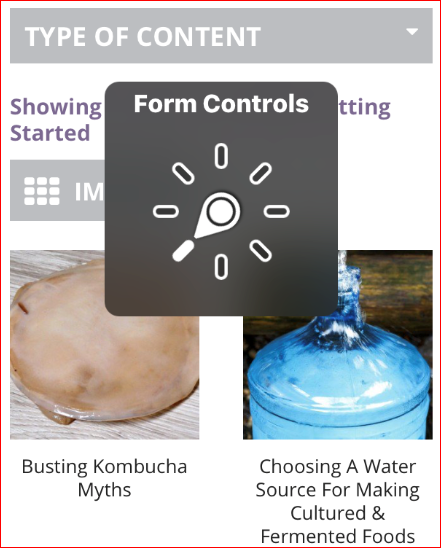 Form controls selected in rotor
